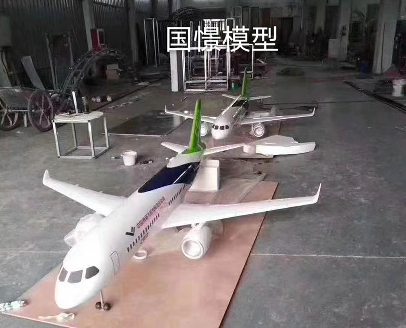 通许县飞机模型