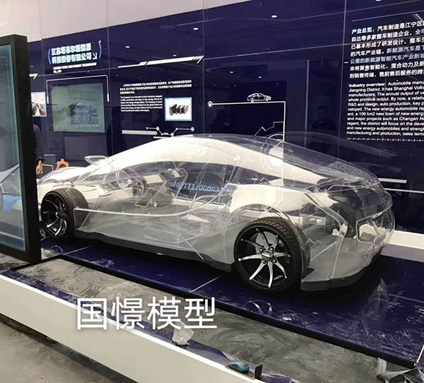 通许县透明车模型